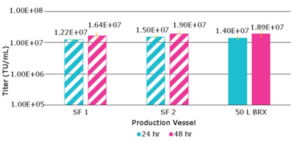 Lentivirus titer from VirusExpress® 293T cells produced via transient transfection, run 2 Lentivirus titer from VirusExpress® 293T cells produced via transient transfection