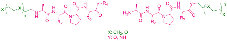 AVP-based lead compounds are turned into degrader building blocks through linker conjugation at the N- or C-terminus. AVP-based lead compounds are turned into degrader building blocks through linker conjugation at the N- or C-terminus.