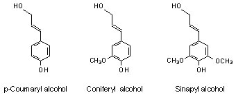 Enzymes for Alternative Energy Research Lignin monomers image