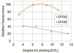 Relative fluorescence of CF543 Relative fluorescence of CF543