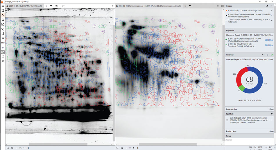 HCP coverage test with Anti-HCP antibody A. Total protein data obtained from the gel (pre-labelling, left), Western blot data with Anti-HCP antibody A (right). SpotMap version number: 5.1.003.