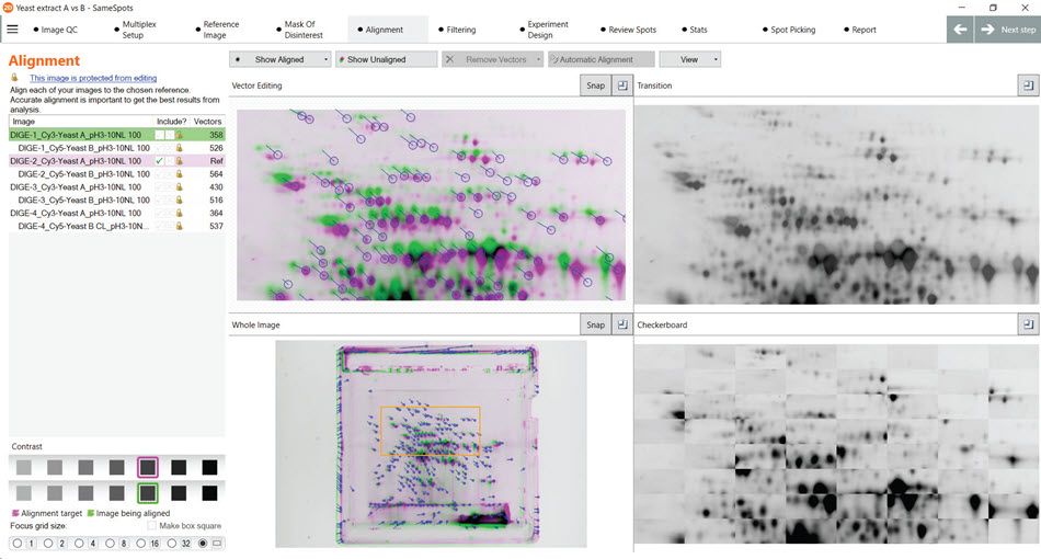Subsequent analysis using the SameSpots software of the gels from figure 12 using the automatic alignment feature for spot matching without manual intervention (cropping/rotation/manual alignment) suggests robust and consistent spot detection.