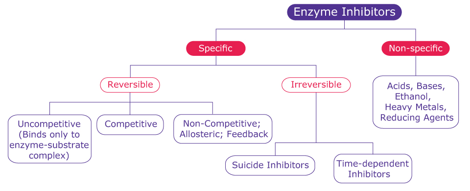 Classification of Enzyme Inhibitors A general breakdown for classifying enzyme inhibitors including specific, non-specific, reversible, irreversible, uncompetitive, competitive, non-competitive, allosteric, feedback, suicide inhibitors, and time-dependent inhibitors.