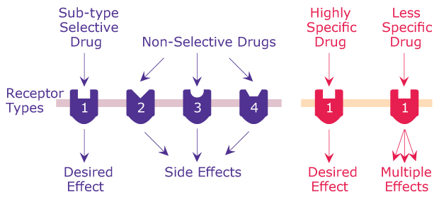 Drug Selectivity vs Specificity A general diagram showing the difference between selectivity and specificity of drugs, including desired effects, side effects, and multiple effects, that can come with selective, non-selective, specific, and non-specific drugs.