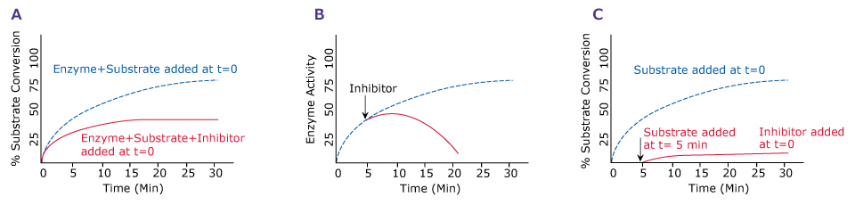 Effect of Timing of Inhibitor Addition on Enzyme Activity Graphs showing the effect of timing of inhibitor addition on enzyme activity with no preincubation with inhibitor, addition of inhibitor to an ongoing reaction, and preincubation with inhibitor.