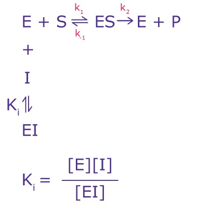Competitive Inhibition Equation The equation for competitive inhibition calculations, including the variables for enzymes, substrates, inhibitors, and the inhibition constant.