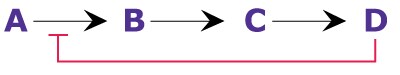 End Product Inhibition Diagram showing end product inhibition, where the end product of a pathway can directly bind to (and inhibit) the enzyme, thus shutting down the pathway.