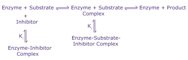 Reversible Enzyme Inhibition A general diagram showing reversible enzyme inhibition, including the creation of enzyme-inhibitor complexes, enzyme-substrate complexes, and enzyme-substrate-inhibitor complexes.
