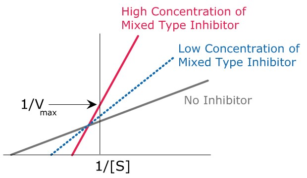 Mixed Type Inhibition Kinetics Graph showing the kinetics of mixed type inhibition including the effects of high concentration of mixed type inhibitor, low concentration of mixed type inhibitor, and no inhibitor.