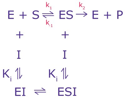 Non-Competitive Inhibition Equation The equilibrium equation for non-competitive inhibition including variables for enzymes, substrates, and the inhibition constant
