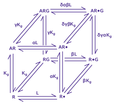 Ternary Complex Model An example of a Ternary Complex Model that accounts for spontaneous isomerization of G-protein coupled receptor (R*), affinity of a receptor for G protein, the presence of an agonist or antagonist, and inactive ARG complexes (Ka, Kg).