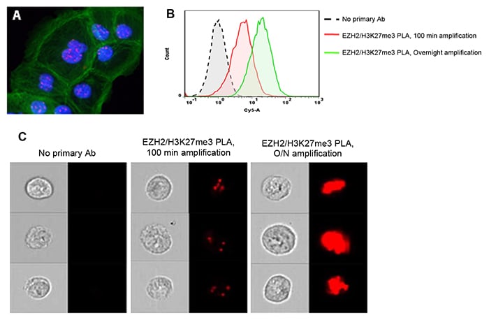 Duolink PLA Applications Flow Cytometry