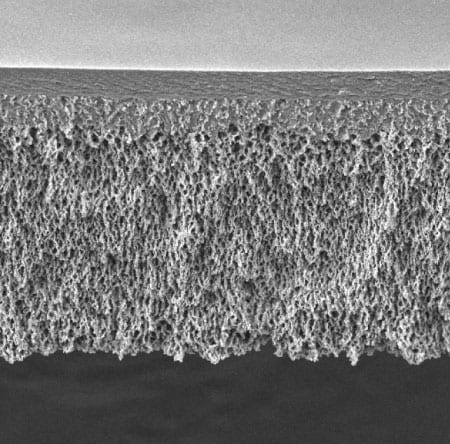 Cross-section of traditional microporous membrane with uniform pore structure from top to bottom