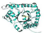 ISOGRO® Protein ISOGRO® Protein