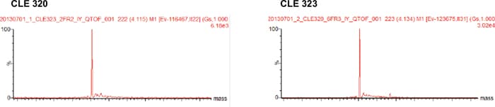 Deconvoluted MS spectra of Code H LC. Deconvoluted MS spectra of Code H LC.