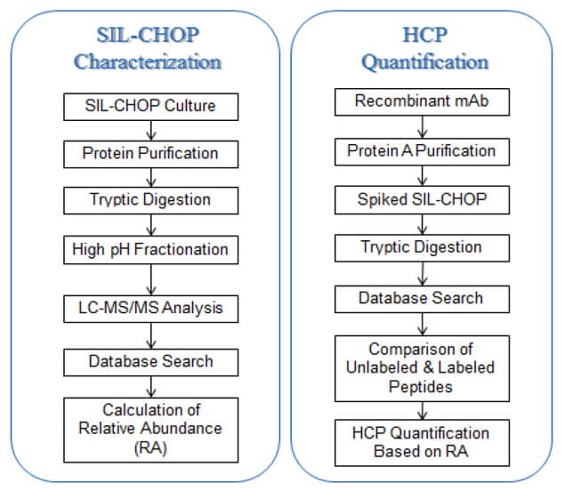 HCP Characterization and Quantification Workflow