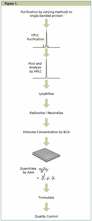 Universal Proteomics Standards – Validating the Future of Proteomics Production of the Universal Proteomics Standards line follows a streamlined process.