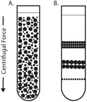 Centrifugation Isopycnic Centrifugation