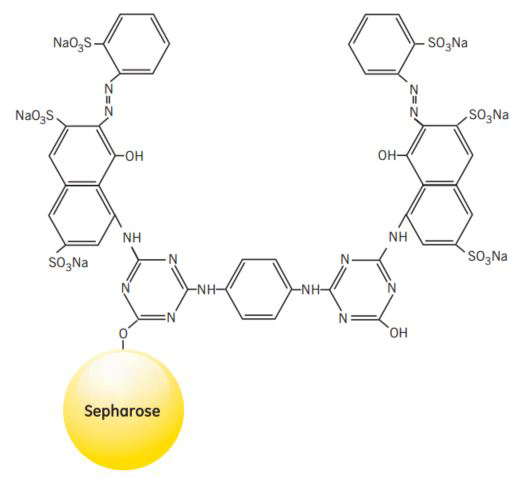Partial structure of Red Sepharose CL-6B Partial structure of Red Sepharose® CL-6B