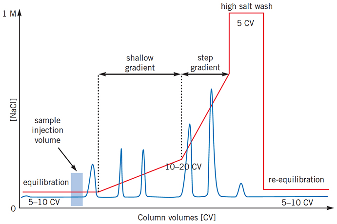 Complex gradient profiles can reduce total separation time for certain separations Complex gradient profiles can reduce total separation time for certain separations
