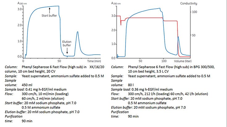 Development and scale up of the capture step Development and scale-up of the capture step.