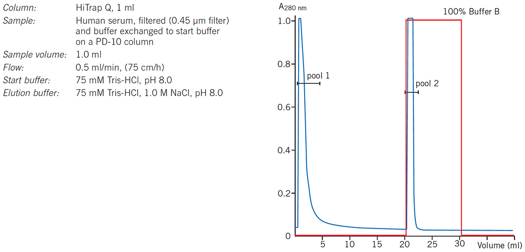 Group separation of serum proteins on HiTrap Q HP Group separation of serum proteins on HiTrap Q HP