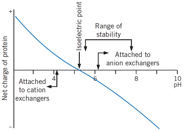 Considerations when selecting a suitable IEX medium Considerations when selecting a suitable IEX medium