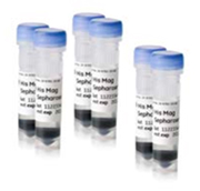 Manual and Automated Purification Mag Sepharose® paramagnetic beads.