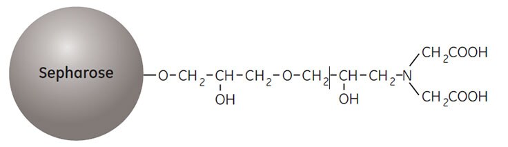 Partial structure of Chelating Sepharose High Performance and Chelating Sepharose Fast Flow. Partial structure of Chelating Sepharose High Performance and Chelating Sepharose Fast Flow.