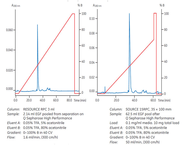RPC Purification Options and Scale up with SOURCE™ Media Preparative separation of a recombinant protein