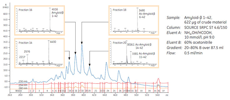 RPC Purification Options and Scale up with SOURCE™ Media Purification and MS analysis of a synthetic peptide
