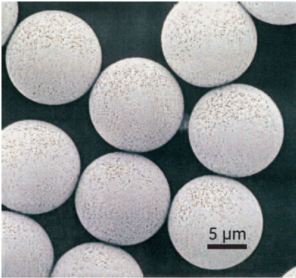 RPC Purification Options and Scale up with SOURCE™ Media Scanning electron micrograph of SOURCE™ 15RPC shows the uniform size distribution