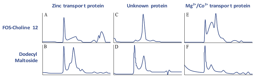 Size homogeneity characterization