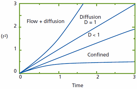 mean-square-displacement Mean square displacement (MSD) of target molecules having different diffusion modes. Freely diffusing molecules feature an MSD (D=1) proportional with time: MSD ∝ tn=1.