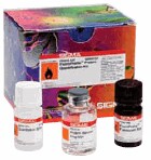 Tools for Protein Quantitation