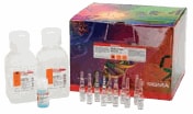 Tools for Protein Quantitation