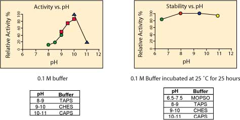 Graphs showing pH Optimum of Alkaline Phosphatase Graphs showing pH Optimum of Alkaline Phosphatase