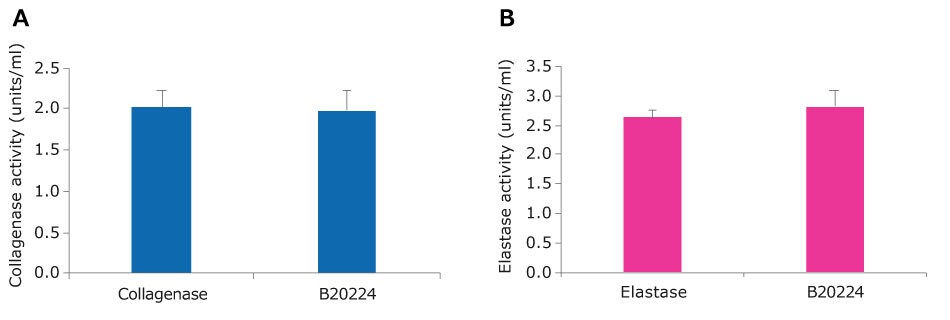 Collagenase-Elastase blend activity Bar graph of collagenase activity. Collagenase and the Collagenase-Elastase blend have an activity of around 2 units/ml. This is not statistically different as per a t test≤ 0.01. B. Bar graph of elastase activity. Collagenase and the Collagenase-Elastase blend have an activity of around 3 units/ml. This is not statistically different as per a t test≤ 0.01.