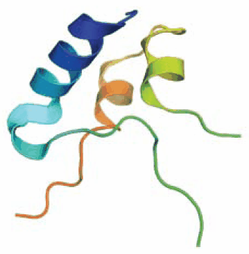 IGF-I also known as somatomedin C IGF-I also known as somatomedin C
