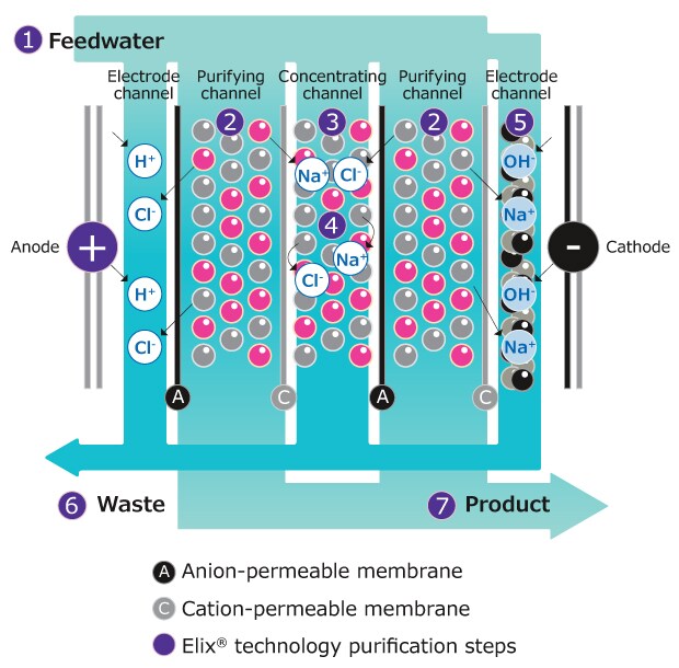 Illustration of an Elix EDI module, detailing the feedwater flow through the electrode, purifying, and concentrating channels.