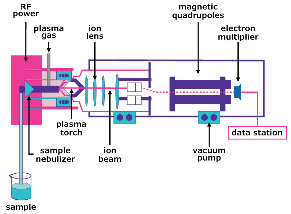 ): Schema depicts components of an ICP-MS system. The sample enters a nebulizer, is carried by plasma gas energized by RF pump through the plasma torch, forming an ion beam. The beam passes through an ion lens, magnetic quadrupoles, and an electron multiplier, with a vacuum pump maintaining the chamber, leading to the data station. 