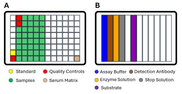 Sample Plate and Reagent Reservoir for Automated Protocol Left side shows placement for the 96-well assay plate aka the “Standard+Sample Plate”. Shows standard in G1, quality controls in H1, A2, and B2, serum matrix placed in H12, and 38 samples placed in C2-H6. Rest of wells are blank. Right side shows the reagent reservoir plate with them loaded as follows: assay buffer, detection antibody, enzyme solution, stop solution, blank well, substrate.