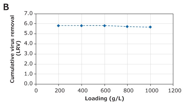 XMuLV removal during mAb purification using the Natrix® CH device in frontal chromatography mode Graph showing the cumulative virus removal and clearance performance of the Natrix® CH device during monoclonal antibody purification.The right panel (B) shows cumulative virus clearance, also in LRV, which remains stable at approximately 6.0 LRV regardless of loading, suggesting effective virus clearance during the purification process.