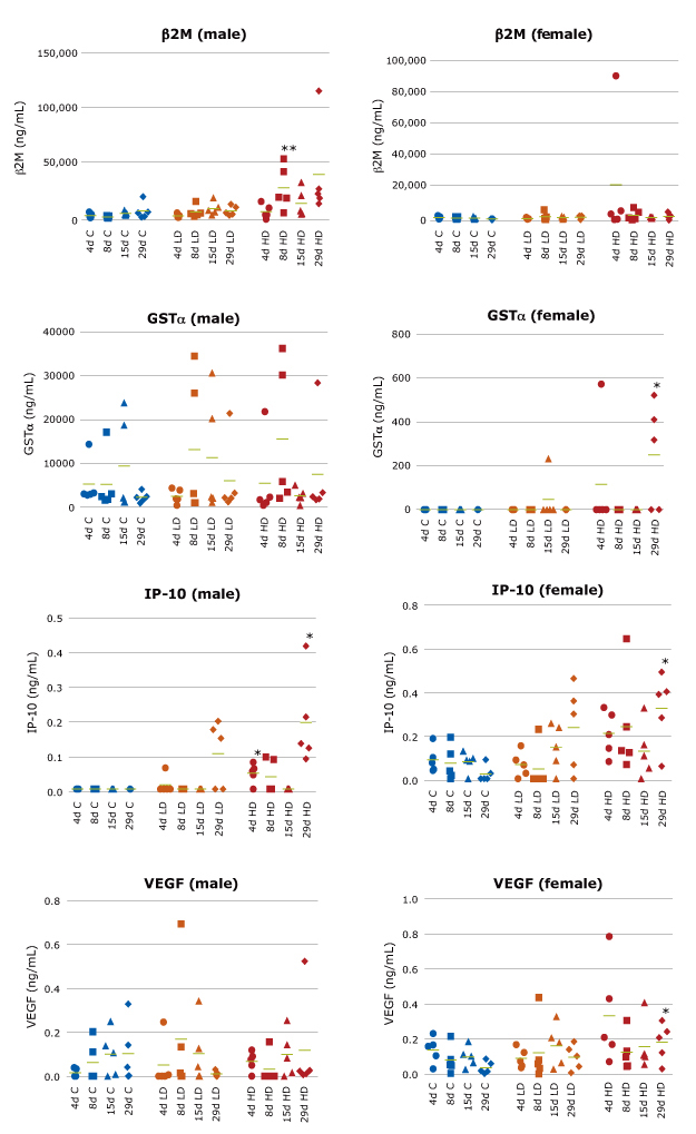 Urinary Kidney Biomarker Analysis (β2M, GST, IP-10, VEGF) Graphs showing kidney biomarker analysis of male/female rat urine samples by MILLIPLEX® Rat Kidney Toxicity Multiplex Assays (Cat. Nos. RKTX1MAG-37K, RKTX2MAG-37K) to predict drug-induced kidney damage by vancomycin. Biomarkers include β2M, GST, IP-10, and VEGF.