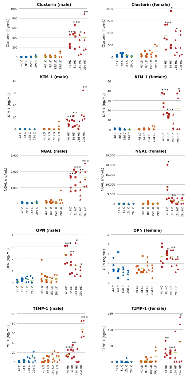 Urinary Kidney Biomarker Analysis (Clusterin, KIM-1, NGAL, Osteopontin (OPN), TIMP-1) Graphs showing kidney biomarker analysis of male/female rat urine samples by MILLIPLEX® Rat Kidney Toxicity Multiplex Assays (Cat. Nos. RKTX1MAG-37K, RKTX2MAG-37K) to predict drug-induced kidney damage by vancomycin. Biomarkers include Clusterin, KIM-1, NGAL, Osteopontin (OPN), and TIMP-1.