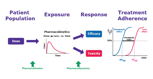 Drug and Effector Response with PK/PD Understanding drug and effector response through pharmacokinetics and pharmacodynamics.