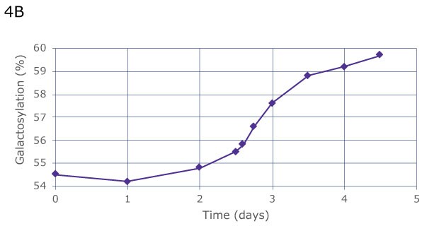 Increased Galactosylation in Response to Step Changes in Galactose. Automated sampling shows the same constant increase of galactosylation over 4 days, from 54.5% on day 0 to 59% on day 4, but provides greater insight due to more frequent data collection, thus allowing to observe a more precise curve progression between day 2 and 3.