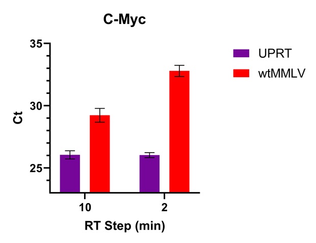Graph showing the low Ct values (fast cDNA synthesis) of c-Myc using UPRT versus wildtype MMLV. UPRT Ct bars are much lower than wtMMLV.