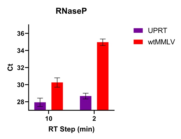 Graph showing the low Ct values (fast cDNA synthesis) of RNaseP using UPRT versus wildtype MMLV. UPRT Ct bars are much lower than wtMMLV.