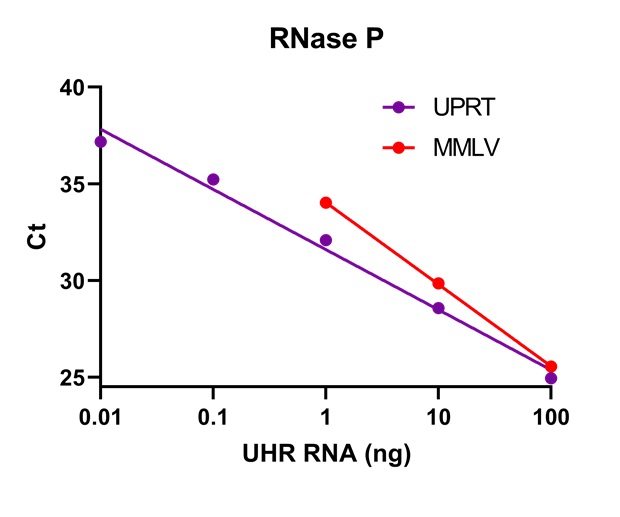 Two graphs showing how UPRT is able to detect lower levels of C-Myc and RNase P RNA vs MMLV. Cycle threshold(Ct) declines as the RNA range increases from 0.01 to 1000 ng.  